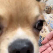 ヒメ日記 2025/05/31 22:07 投稿 ここ 上野ハンドメイド