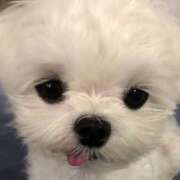 ヒメ日記 2025/10/31 23:15 投稿 ここ 上野ハンドメイド