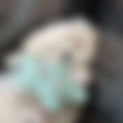 ヒメ日記 2025/11/01 20:17 投稿 ここ 上野ハンドメイド