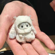 ヒメ日記 2025/11/15 22:50 投稿 ここ 上野ハンドメイド