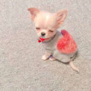 ヒメ日記 2025/11/27 22:49 投稿 ここ 上野ハンドメイド