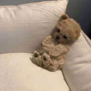 ヒメ日記 2025/11/30 22:45 投稿 ここ 上野ハンドメイド