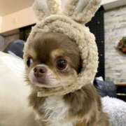 ヒメ日記 2025/12/09 23:49 投稿 ここ 上野ハンドメイド