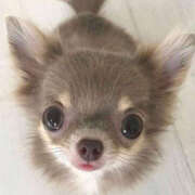 ヒメ日記 2025/12/10 23:10 投稿 ここ 上野ハンドメイド