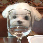 ここ たいきーーん꒰ ᐡᴗ͈ ̫ ᴗ͈` ꒱💘🎶書けてないお礼も‼️ 上野ハンドメイド