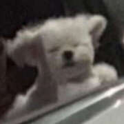 ヒメ日記 2025/12/27 23:44 投稿 ここ 上野ハンドメイド