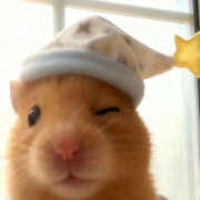 ヒメ日記 2025/12/29 23:14 投稿 ここ 上野ハンドメイド