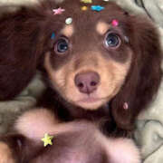 ヒメ日記 2026/01/05 23:10 投稿 ここ 上野ハンドメイド