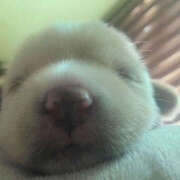 ヒメ日記 2026/01/06 23:26 投稿 ここ 上野ハンドメイド