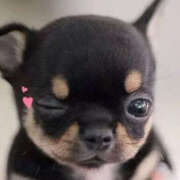 ヒメ日記 2026/01/11 23:28 投稿 ここ 上野ハンドメイド