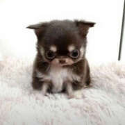 ヒメ日記 2026/01/16 23:10 投稿 ここ 上野ハンドメイド