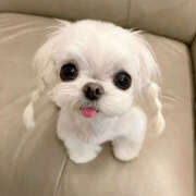 ヒメ日記 2026/01/18 23:22 投稿 ここ 上野ハンドメイド