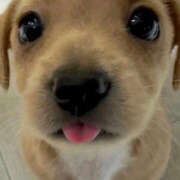 ヒメ日記 2026/01/30 23:09 投稿 ここ 上野ハンドメイド