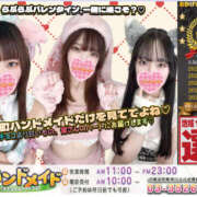 ヒメ日記 2026/01/31 16:10 投稿 ここ 上野ハンドメイド