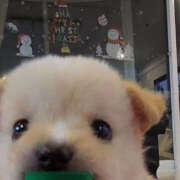 ヒメ日記 2026/01/31 23:56 投稿 ここ 上野ハンドメイド