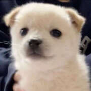 ヒメ日記 2026/02/04 19:55 投稿 ここ 上野ハンドメイド