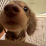 ヒメ日記 2026/02/18 23:27 投稿 ここ 上野ハンドメイド