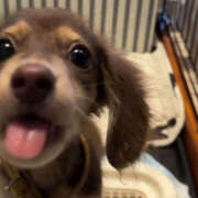 ヒメ日記 2026/02/20 23:45 投稿 ここ 上野ハンドメイド