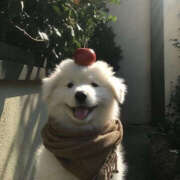 ヒメ日記 2026/02/21 22:51 投稿 ここ 上野ハンドメイド