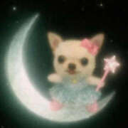 ヒメ日記 2026/02/24 23:33 投稿 ここ 上野ハンドメイド