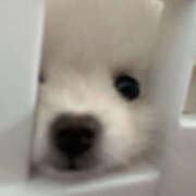 ヒメ日記 2026/03/01 23:35 投稿 ここ 上野ハンドメイド