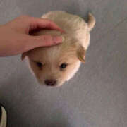 ヒメ日記 2026/03/02 23:08 投稿 ここ 上野ハンドメイド