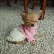 ヒメ日記 2026/03/05 23:34 投稿 ここ 上野ハンドメイド