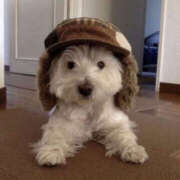 ヒメ日記 2026/03/10 23:34 投稿 ここ 上野ハンドメイド