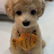 ヒメ日記 2026/03/14 23:10 投稿 ここ 上野ハンドメイド