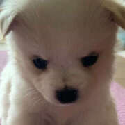 ヒメ日記 2026/04/05 22:52 投稿 ここ 上野ハンドメイド