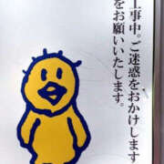 ヒメ日記 2026/04/17 14:43 投稿 ここ 上野ハンドメイド