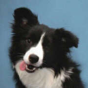 ヒメ日記 2026/04/22 23:10 投稿 ここ 上野ハンドメイド