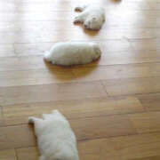 ここ 退勤しました🍓 上野ハンドメイド