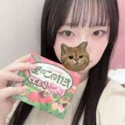 ヒメ日記 2025/05/24 16:05 投稿 ここ 神田ハンドメイド