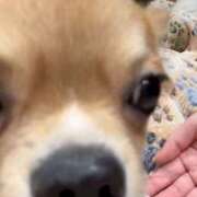 ヒメ日記 2025/05/31 22:11 投稿 ここ 神田ハンドメイド