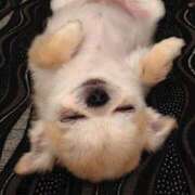 ヒメ日記 2025/11/29 13:57 投稿 ここ 神田ハンドメイド