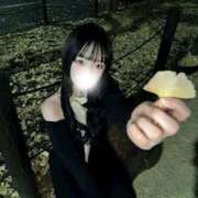 ヒメ日記 2025/12/11 15:05 投稿 ここ 神田ハンドメイド