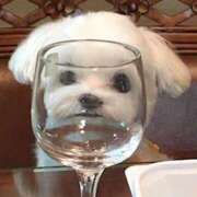 ヒメ日記 2025/12/18 23:41 投稿 ここ 神田ハンドメイド