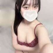 ヒメ日記 2025/12/19 20:19 投稿 ここ 神田ハンドメイド