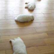 ここ 退勤しました? 神田ハンドメイド