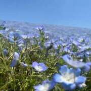 ヒメ日記 2025/05/08 01:04 投稿 はな【性感】 性感エステBianca豊中店