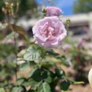 ヒメ日記 2025/05/12 21:58 投稿 はな【性感】 性感エステBianca豊中店