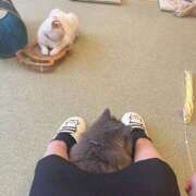 ヒメ日記 2025/05/15 13:00 投稿 はな【性感】 性感エステBianca豊中店