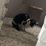 ヒメ日記 2025/05/20 02:15 投稿 はな【性感】 性感エステBianca豊中店