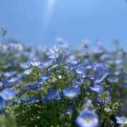 ヒメ日記 2025/05/24 08:45 投稿 はな【性感】 性感エステBianca豊中店