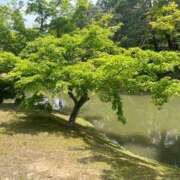 ヒメ日記 2025/05/29 12:57 投稿 はな【性感】 性感エステBianca豊中店