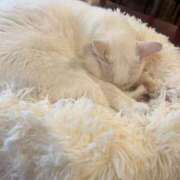 ヒメ日記 2025/06/07 14:34 投稿 はな【性感】 性感エステBianca豊中店