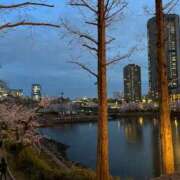 ヒメ日記 2025/06/23 23:16 投稿 はな【性感】 性感エステBianca豊中店