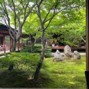 ヒメ日記 2025/06/29 11:41 投稿 はな【性感】 性感エステBianca豊中店