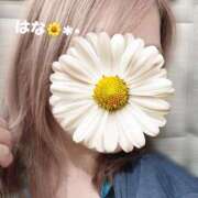 ヒメ日記 2025/07/04 12:31 投稿 はな【性感】 性感エステBianca豊中店